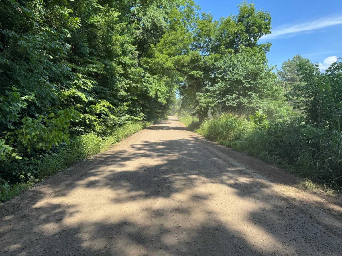 Silex Road photo 2