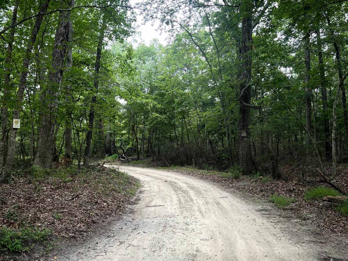 Three Bridge Road trail photo