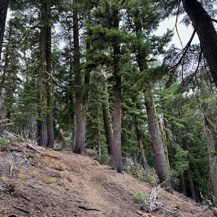 Near Three Creek Lake Loop