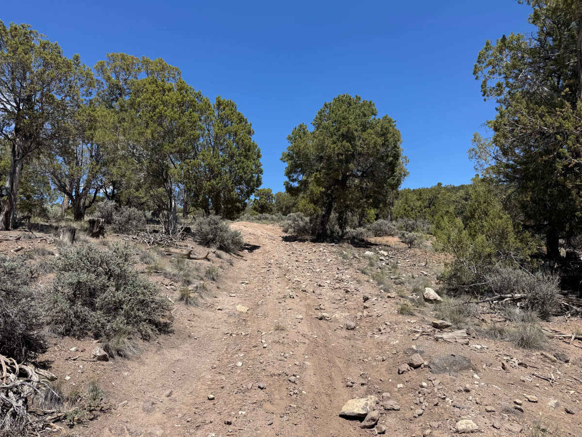 BLM 8472 photo 5