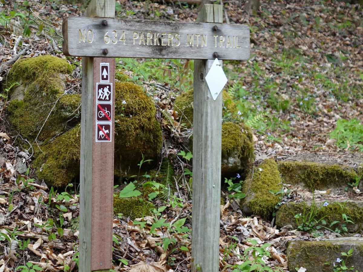 Woods Road photo 5