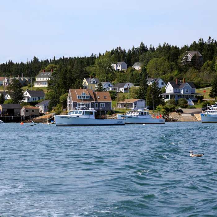 Near Little River Island Near Little River Island