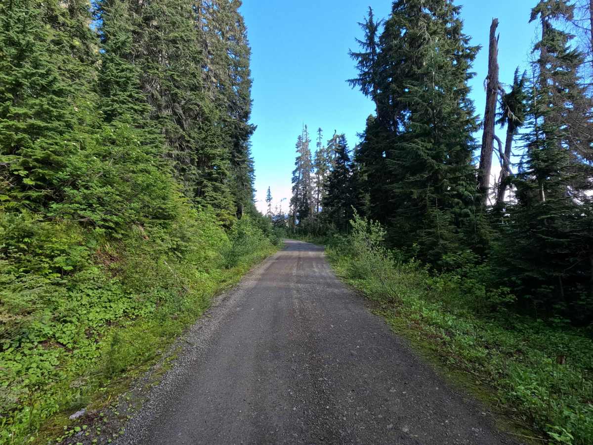 Blue Lake - FS 1230 photo 3