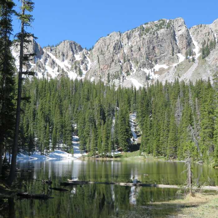 Near Trampas Lakes Trail #31