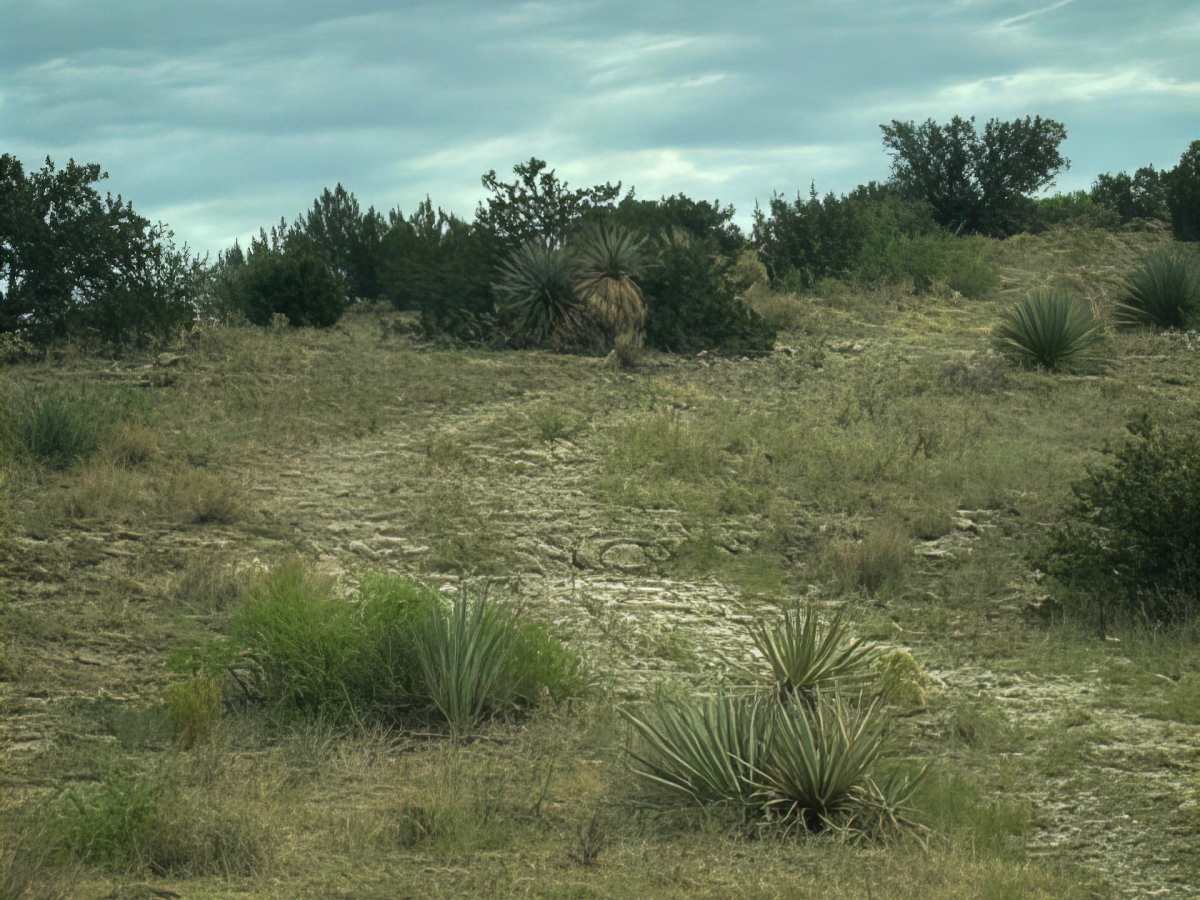 Pe1217 photo 3
