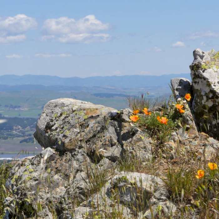 Near Novato Hill Climb