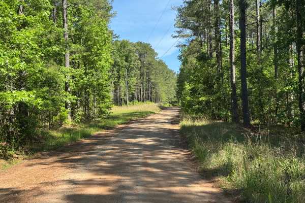Firetower Road