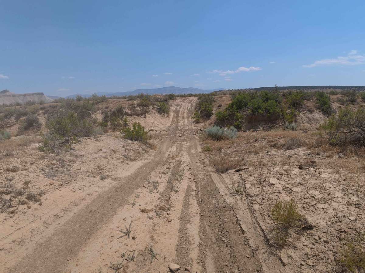 BLM 128 photo 5