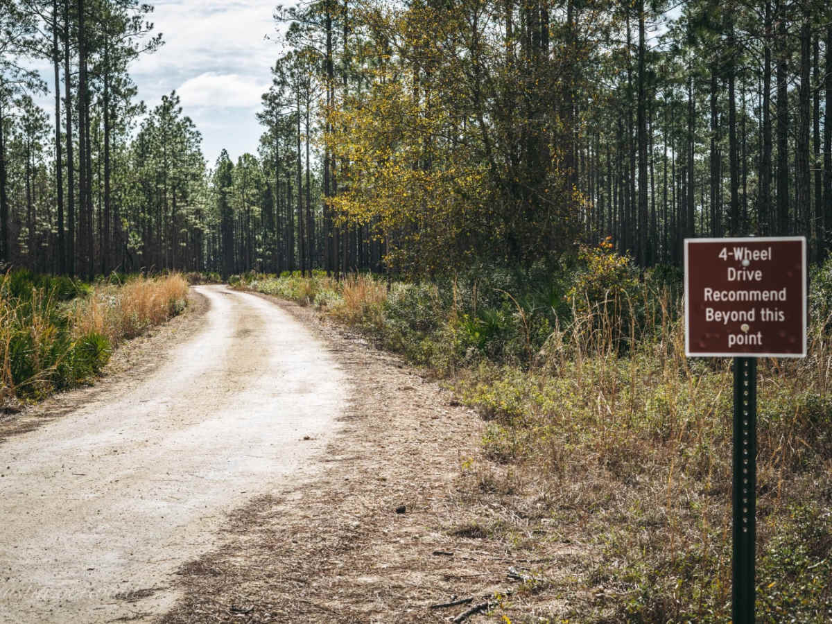 Rattlesnake Road - Jennings State Forest photo 5