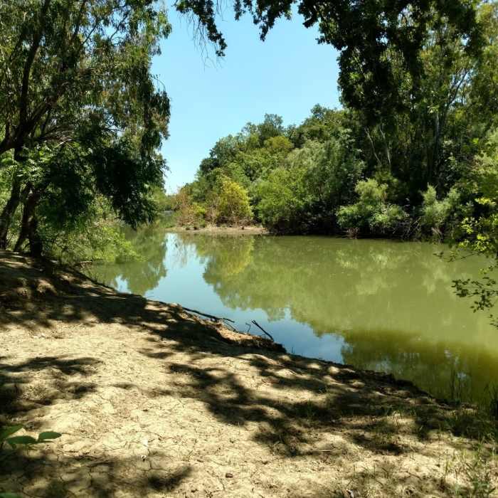 Near Putah Creek North Levee Trail