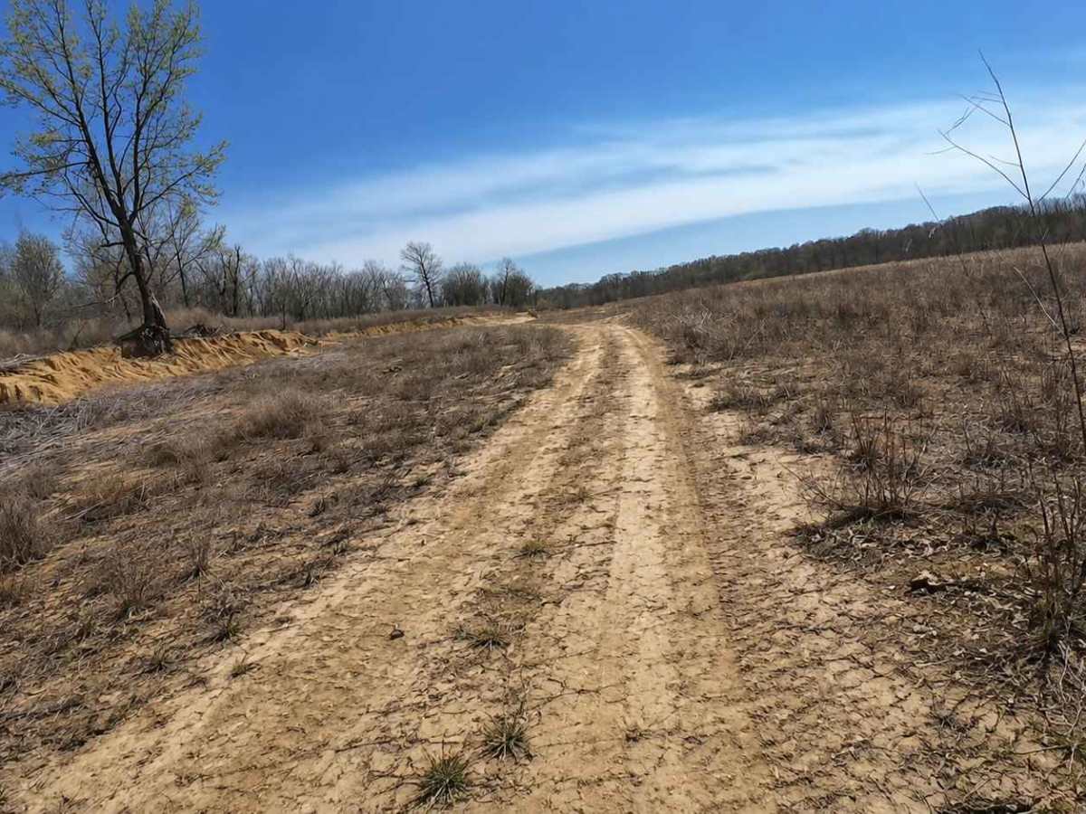 Ark Island Trail photo 4