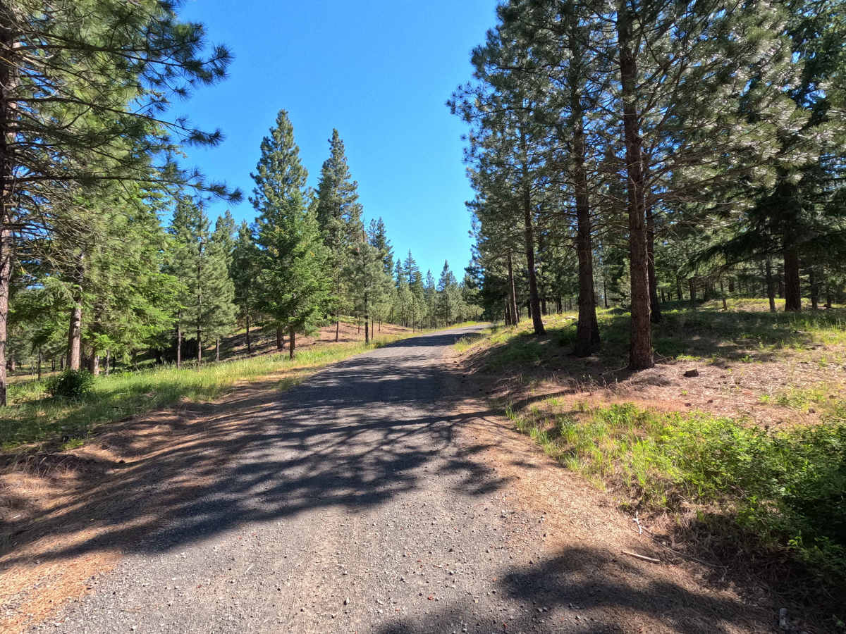 Jack Creek Road - FS 9738 trail photo