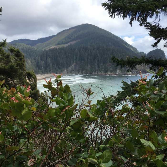 Near Cape Falcon Trail