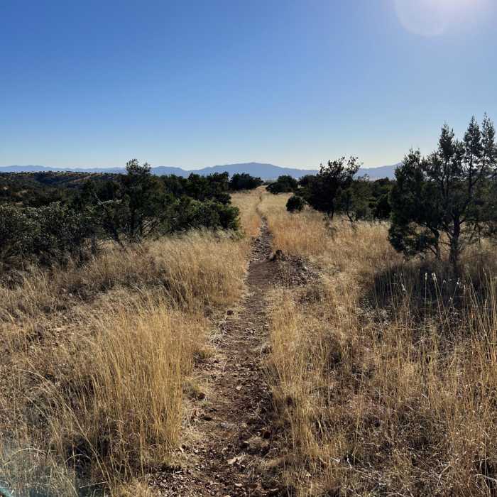 Near Arizona Trail Passage 2: Canelo Hills East Near Arizona Trail Passage 2: Canelo Hills East