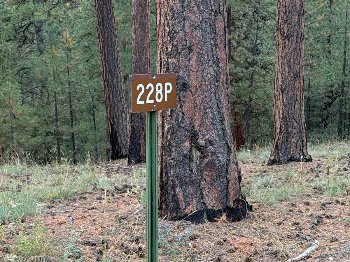 FS 228P trail photo