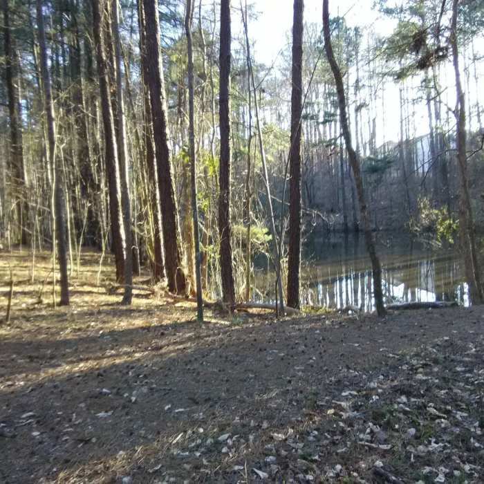 Near Strickland Park Nature Trail