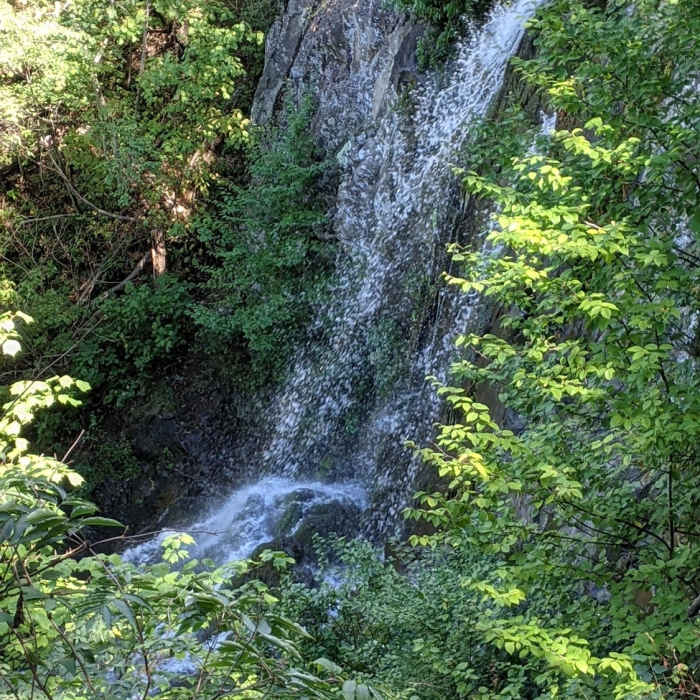 Near Lewis Falls Trail