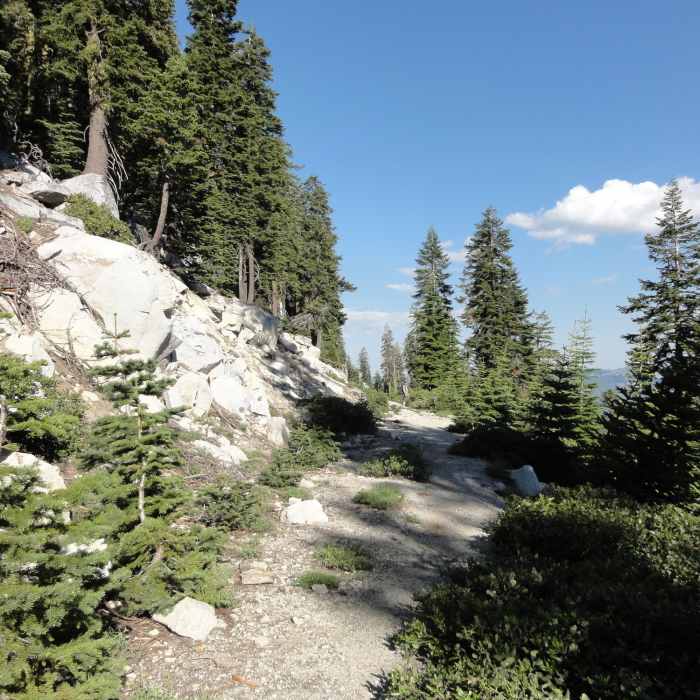 Near Bingham Lake Trail #5583