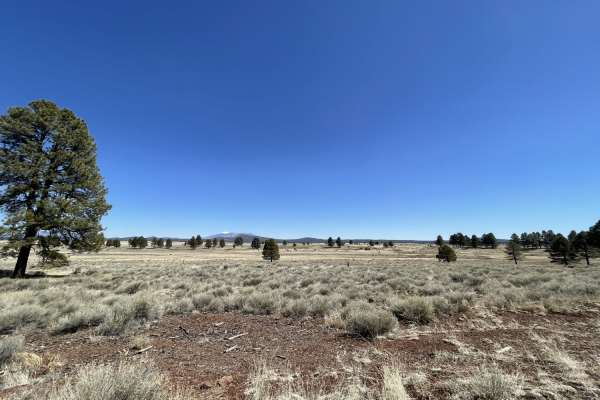 Double Tank Trailhead