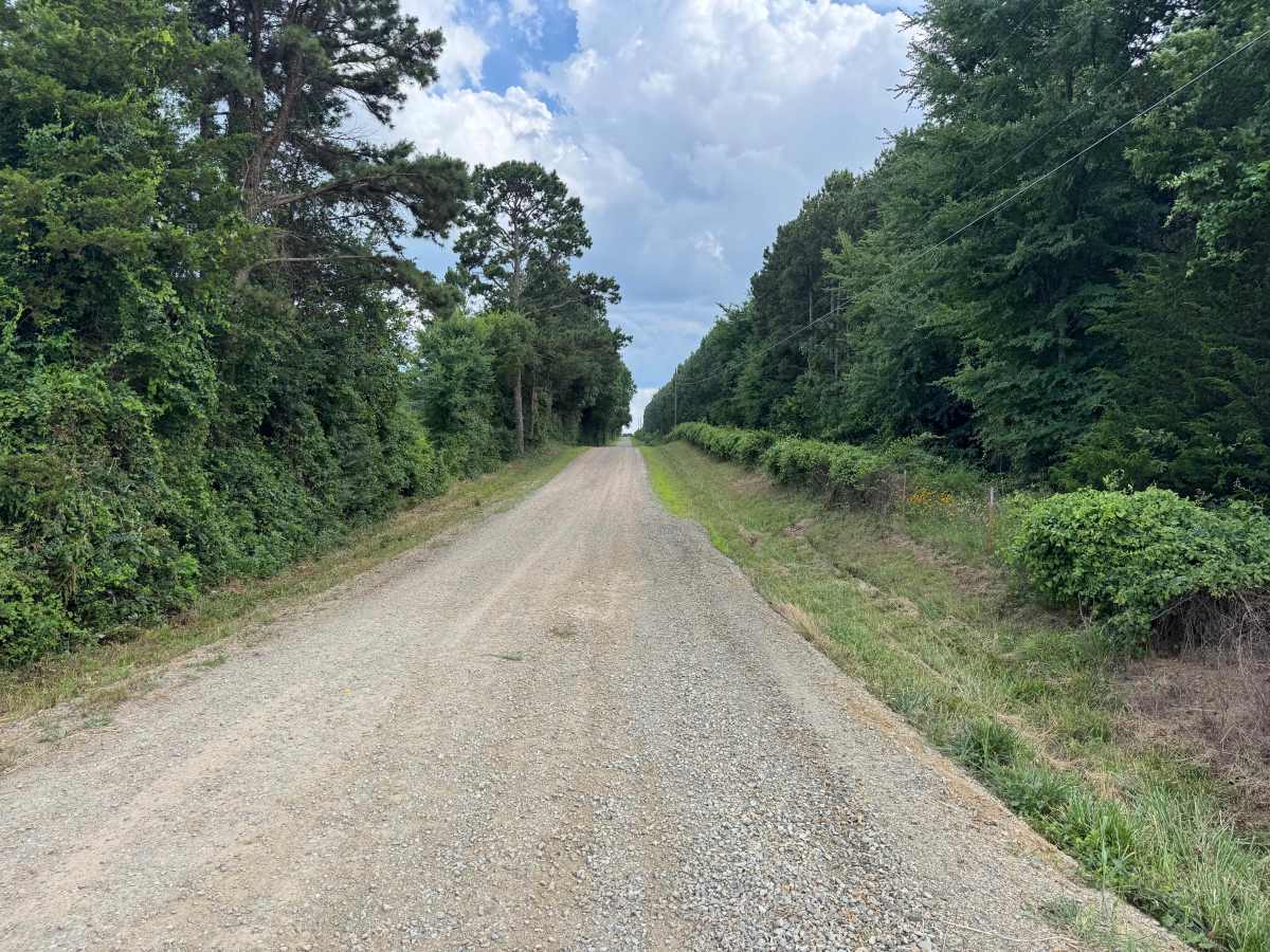 County Road 3851 trail photo