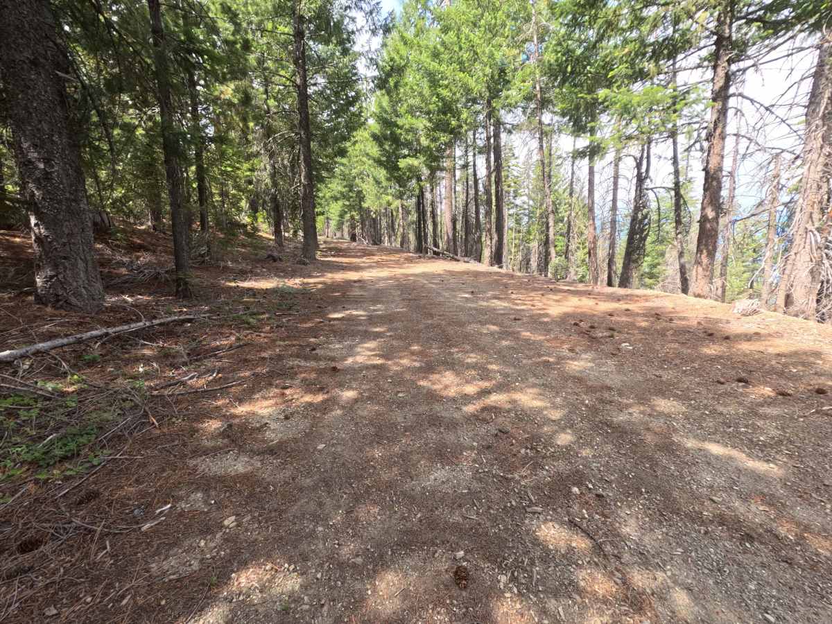 Brushy Camp Ridge - FS 19N02 photo 3