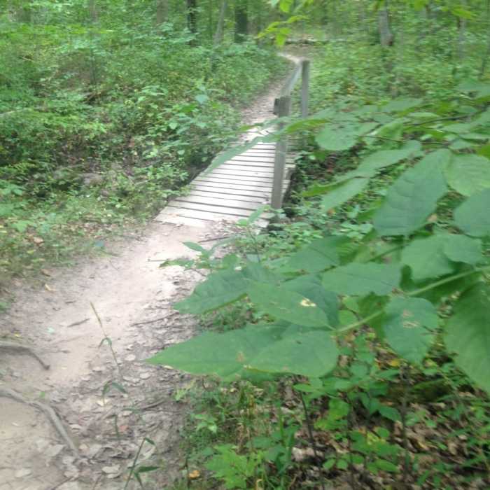 Near Cannonsburg State Game Area: Egypt Valley Loop Hike