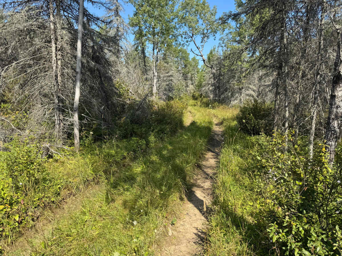 Rimrock Camp Road photo 6