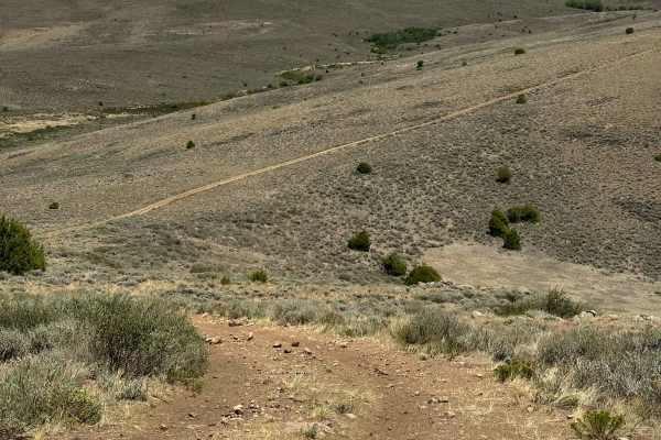 Jensen Creek Ridge Road