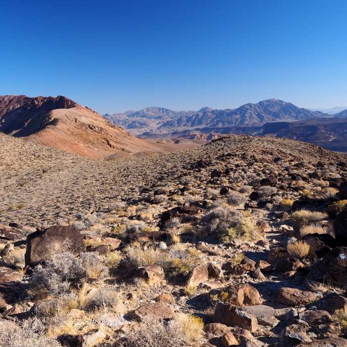 Near Mount Perry Trail