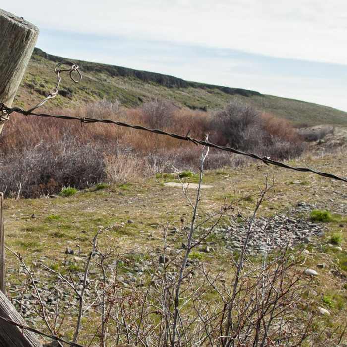 Near Klickitat Trail, Harms Road Trailhead