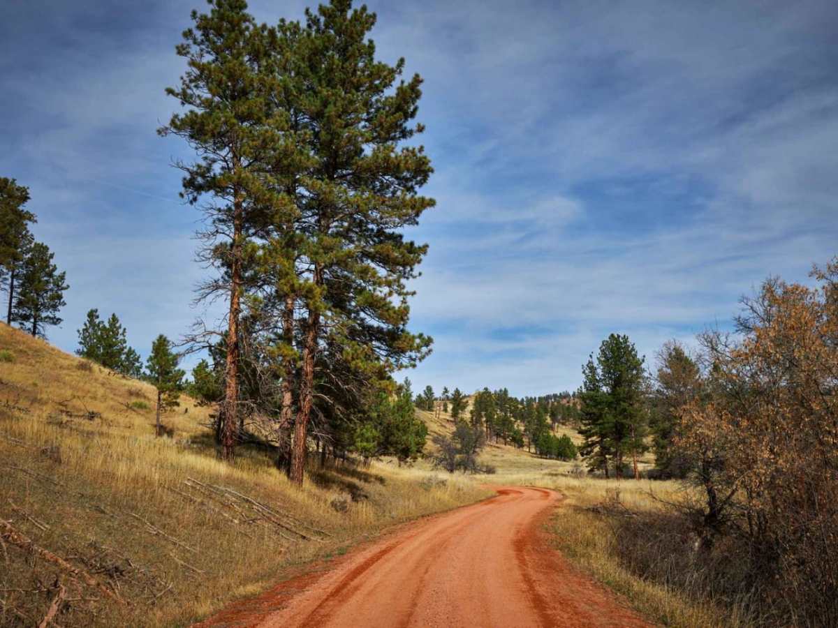Wilbur Creek Cutoff Road photo 6