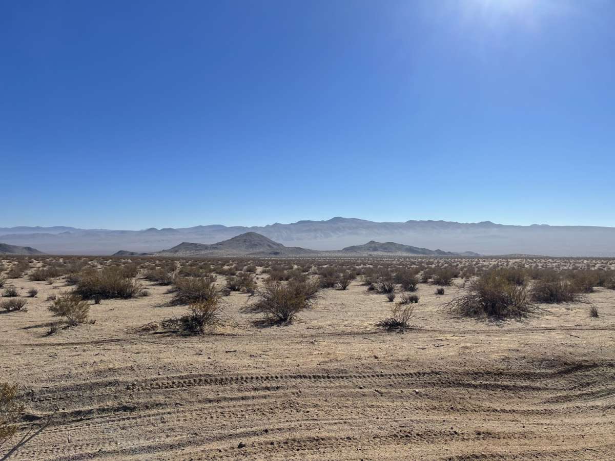 The Uncivilized Trona Road photo 4