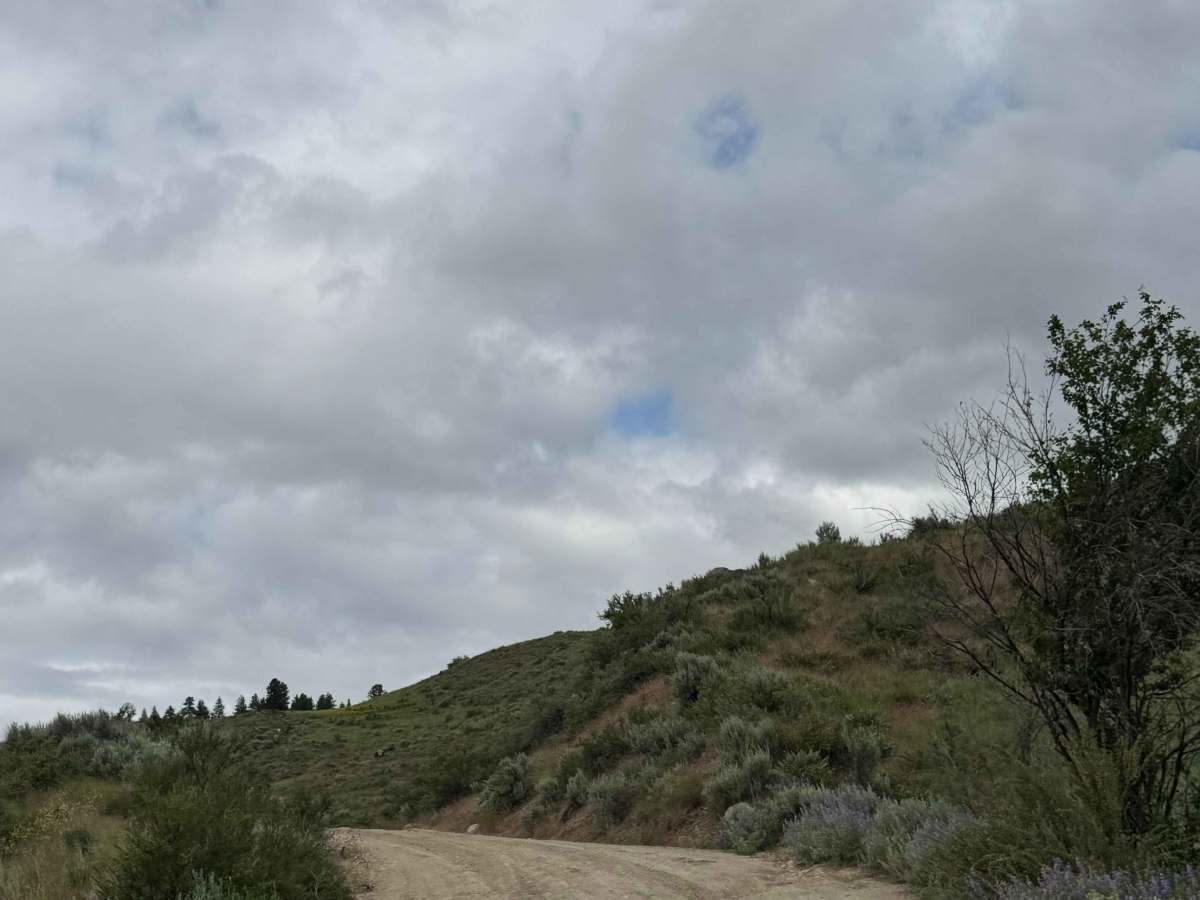 Washout Road - FS 5009-300  photo 3