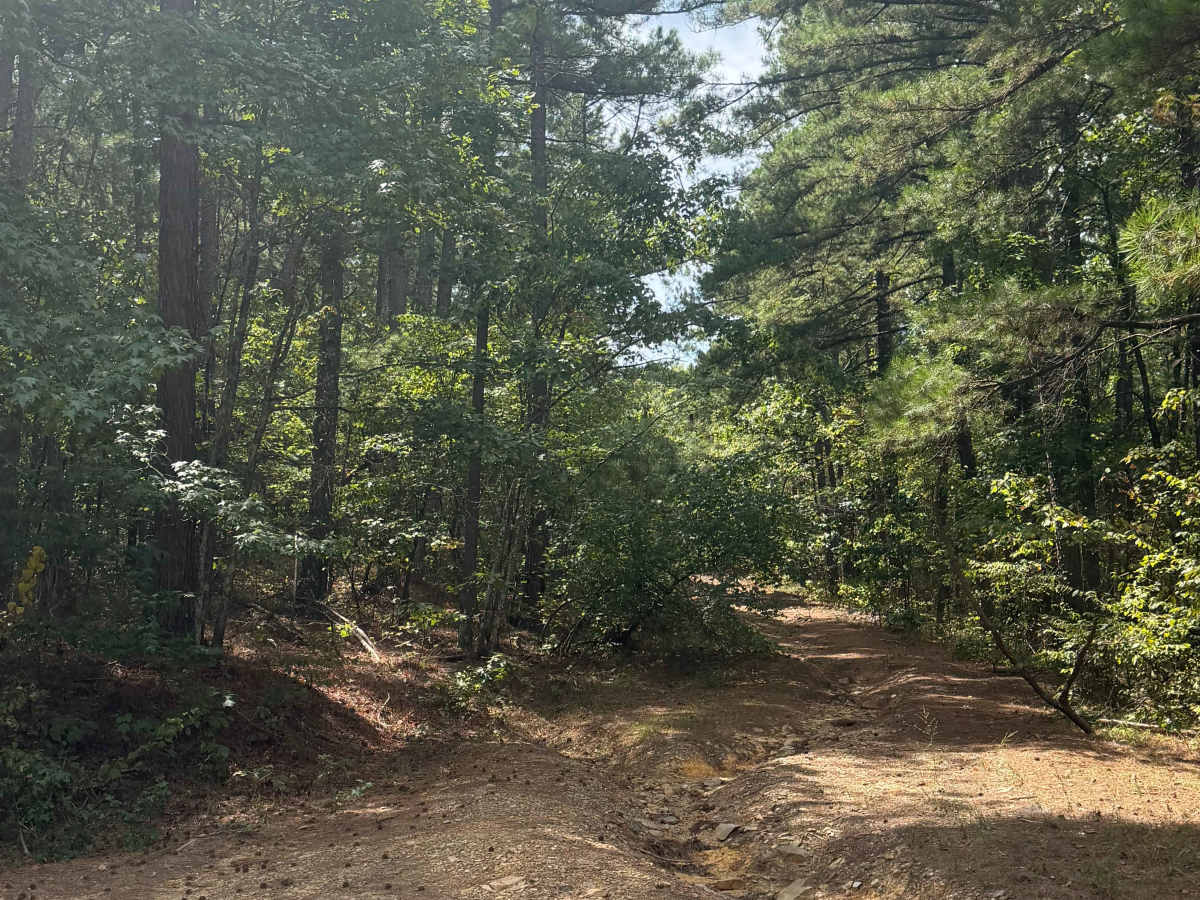 Blackmon trail photo