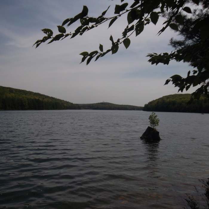 Near Beaver Dam Trail