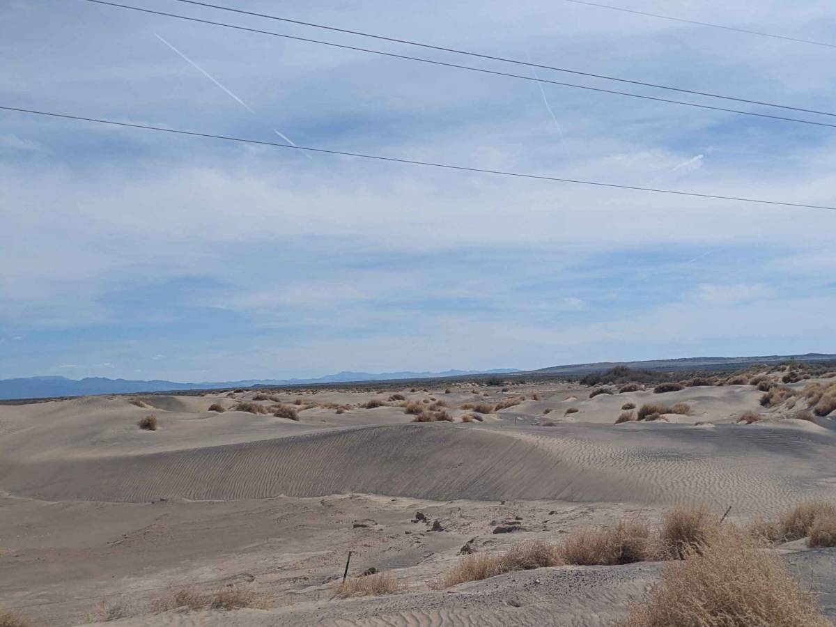 Sheep Trail Road photo 4