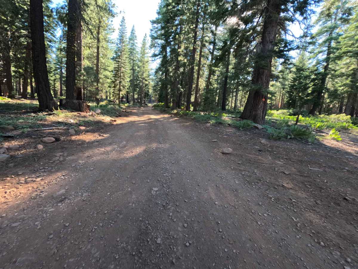 Sagehen Creek - FS 0011 photo 3