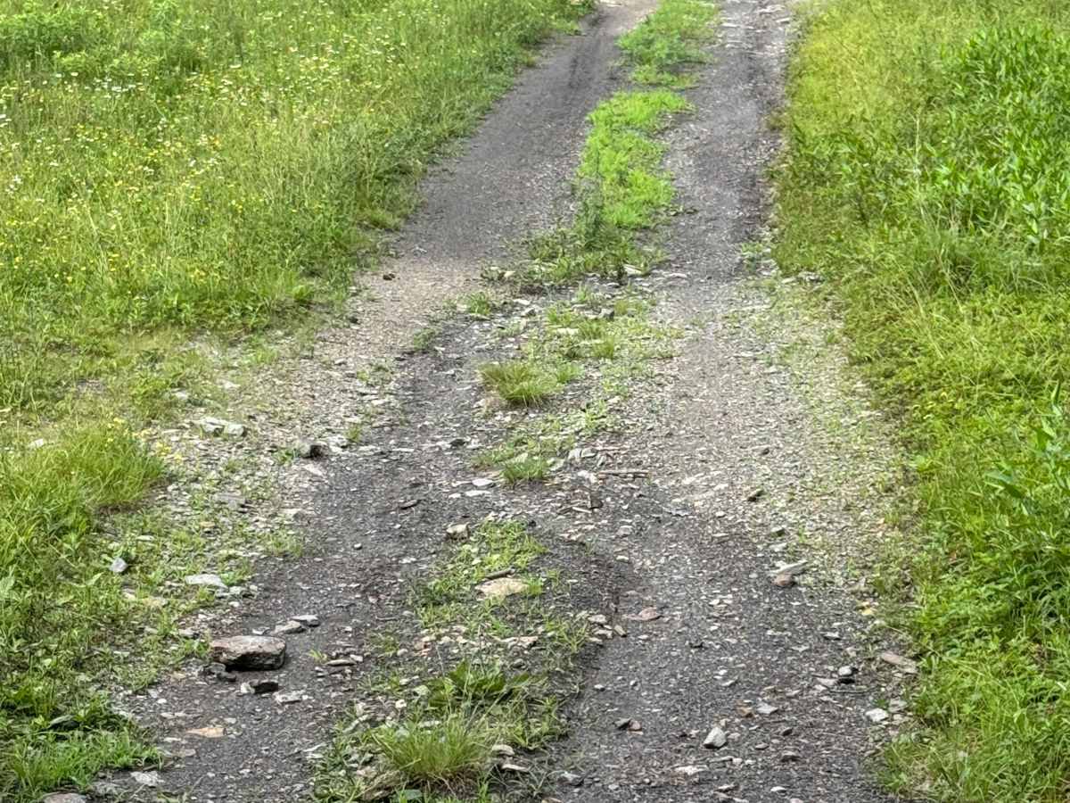 Trail 21 photo 5