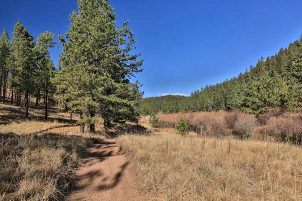Trout Creek (FS 649)