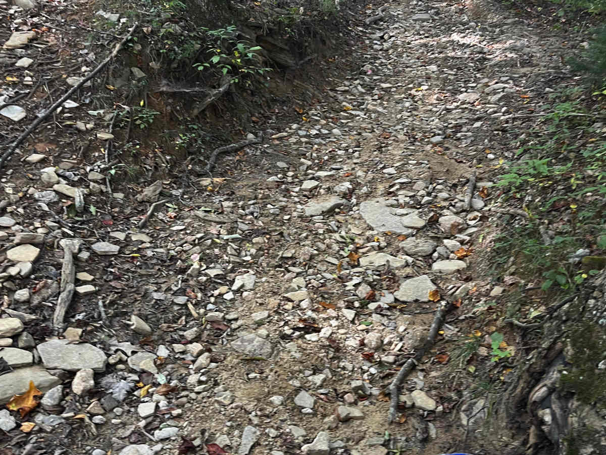Oakey Mountain OHV photo 5