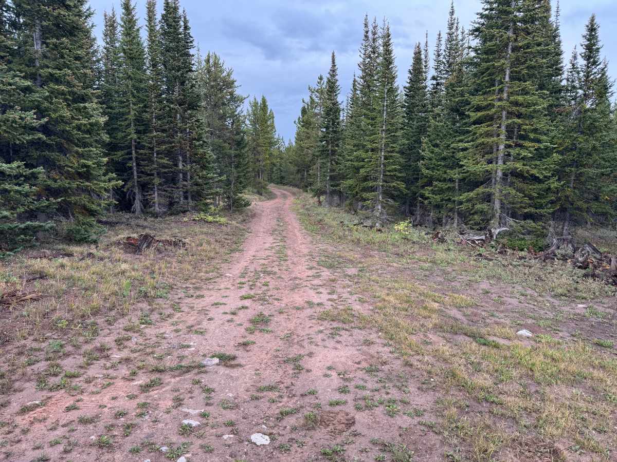 Red Canyon Road photo 5