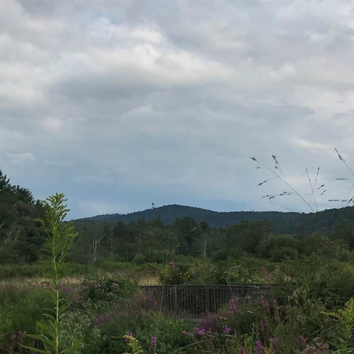 Near Carriage Road