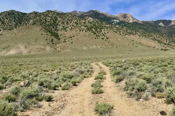 Tamblin Creek Loop - FS 43342