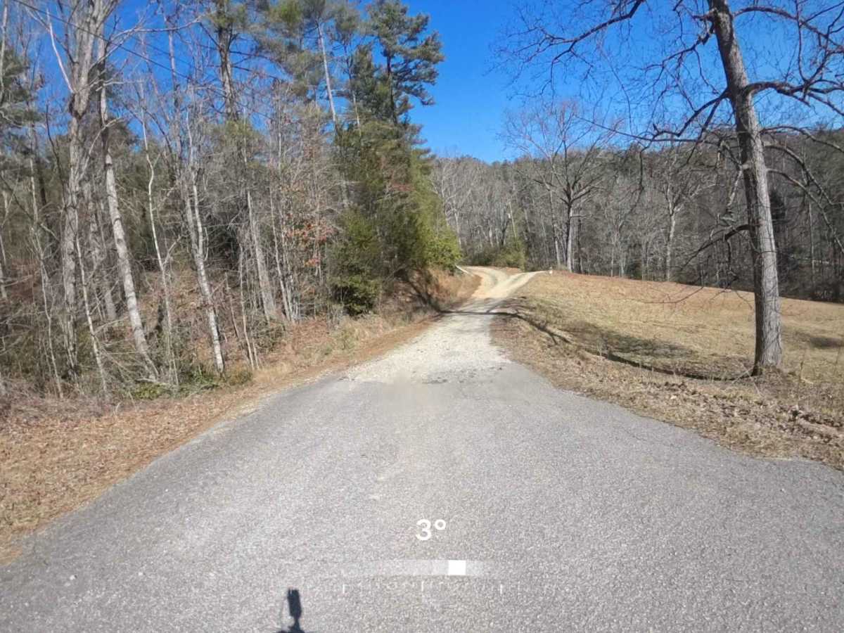 Raper Creek Road - FS 376 trail photo
