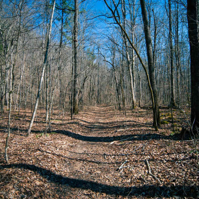 Near Prater Place and Hemlock Falls