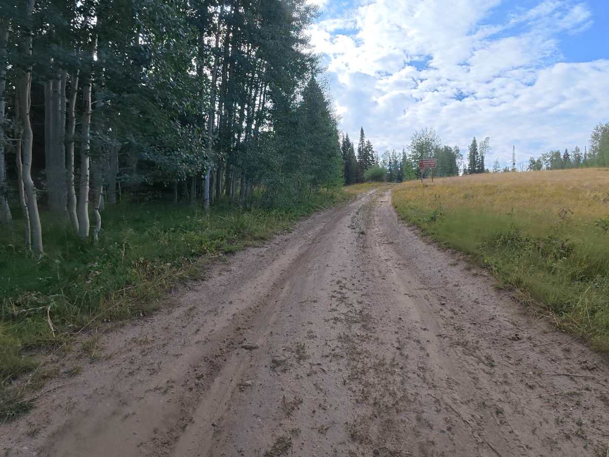 Mansfield Road - FS 830 trail photo