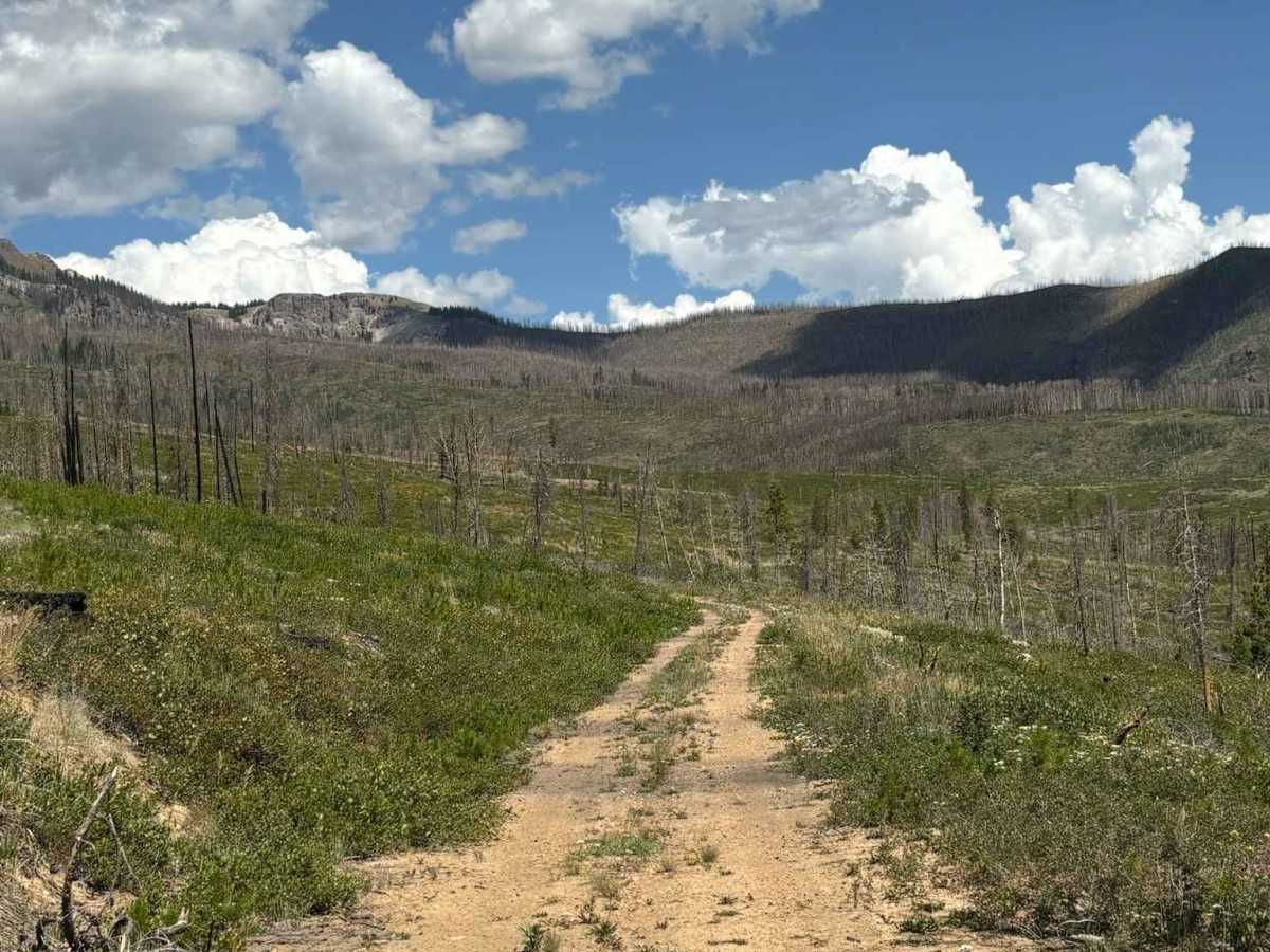 Kinney Creek trail photo