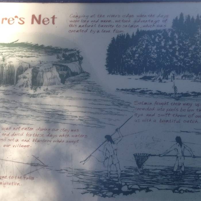 Near Lewis River Trail #31