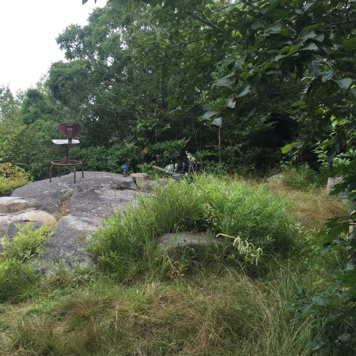 Near High Rocks Trail