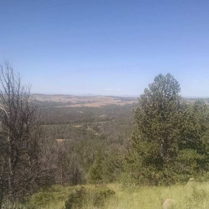 Near Double Black Diamond